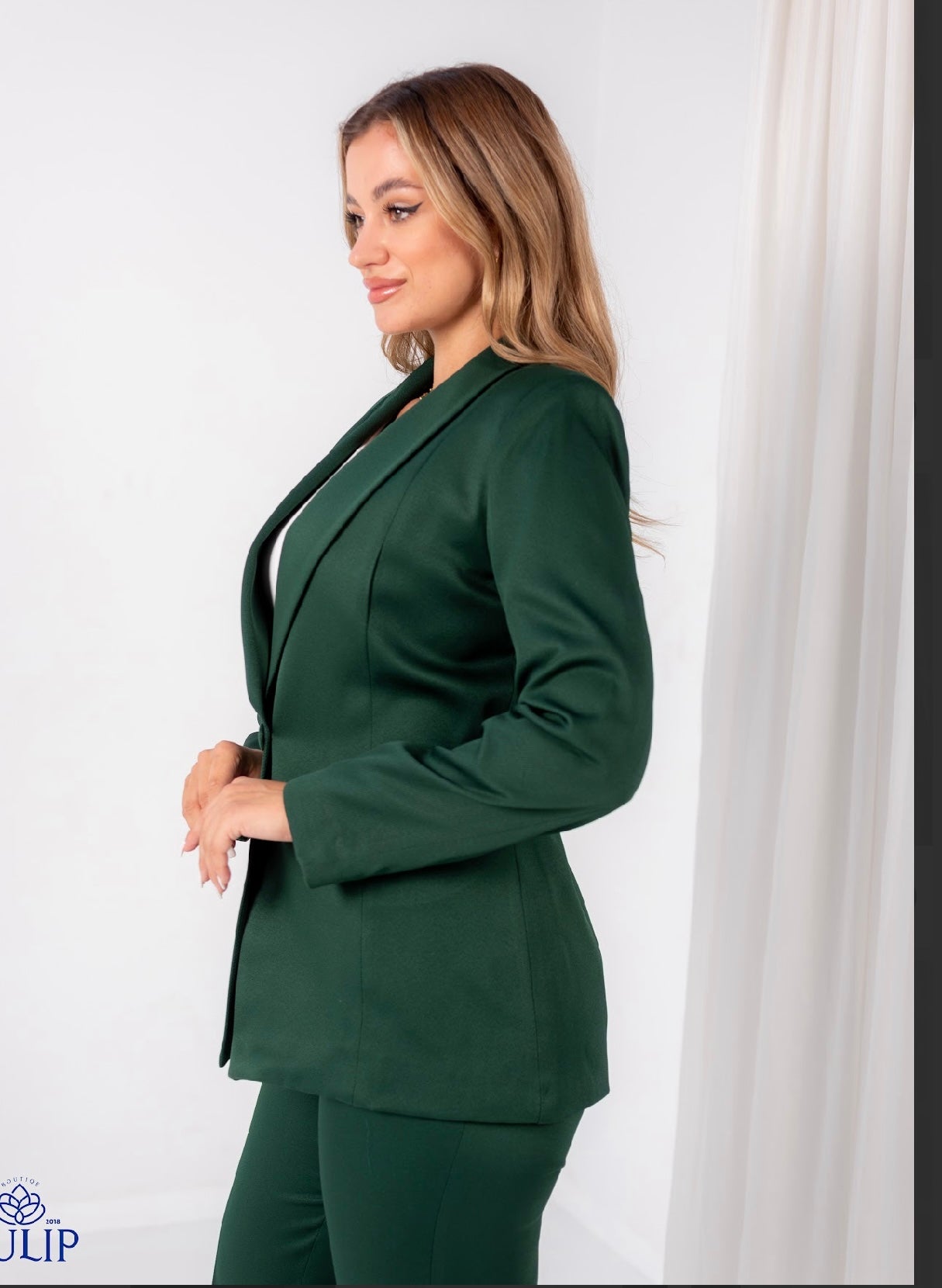 Olive Slim Fit Suit