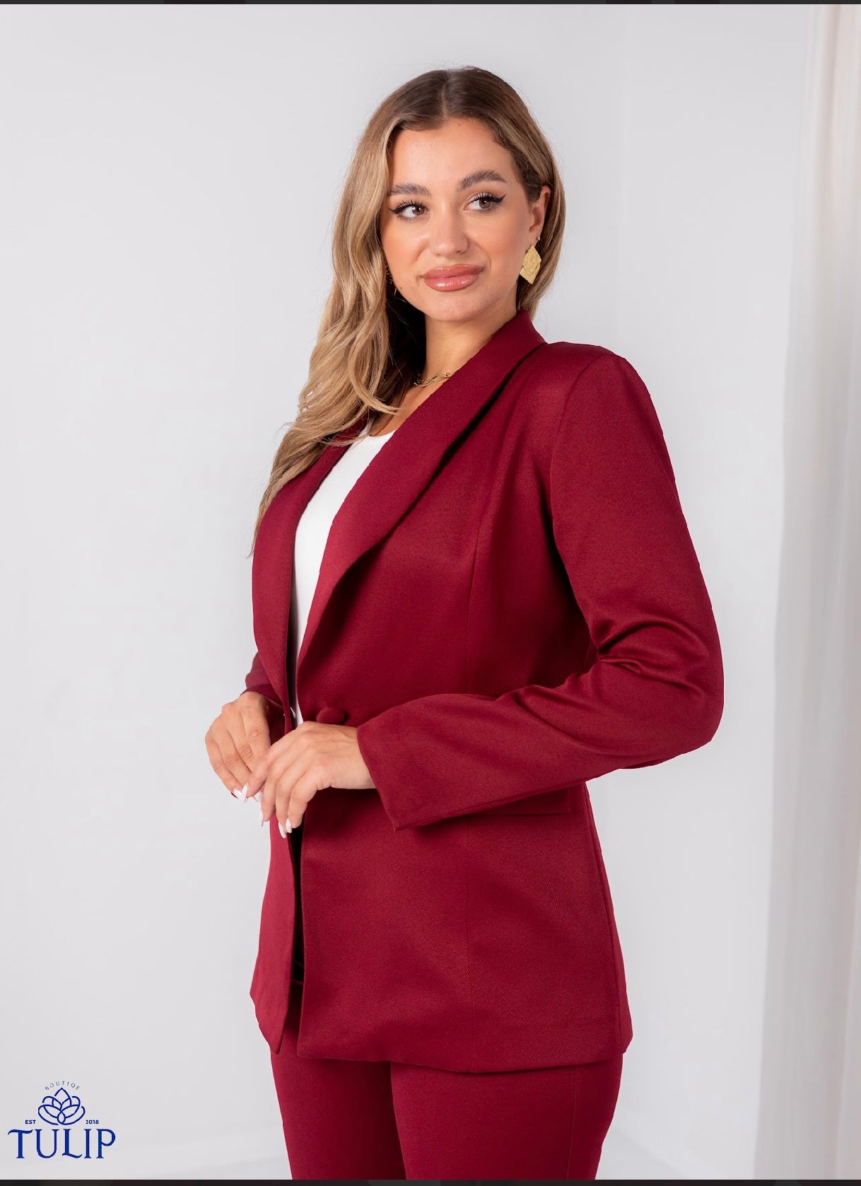 Burgundy Slim Fit Suit